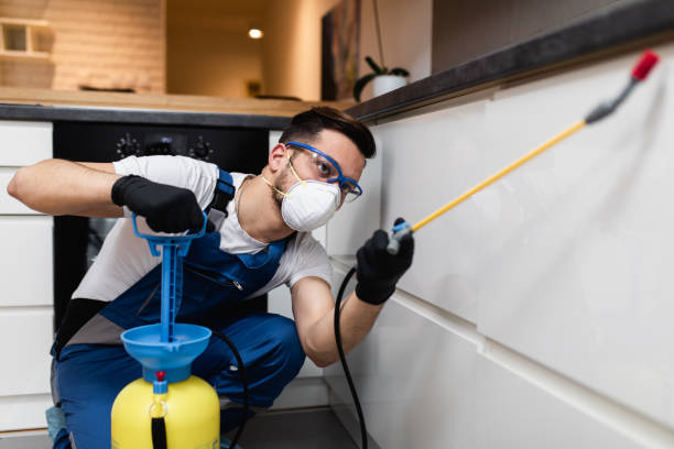 Best Pest Removal Services  in Woodbine, NJ
