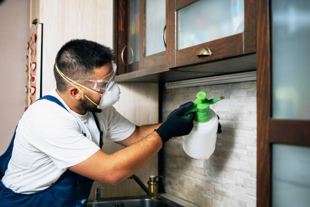 Best Pest Control for Businesses  in Woodbine, NJ