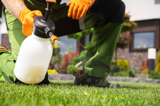 Best Bed Bug Extermination  in Woodbine, NJ