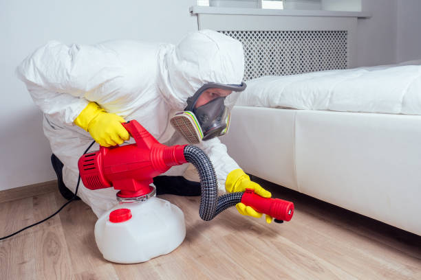 Trusted Woodbine, NJ Pest Control Experts