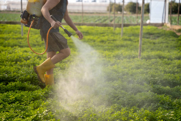Best Ant Control Services  in Woodbine, NJ