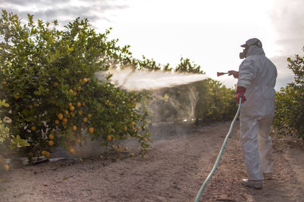 Best Pest Control Near Me  in Woodbine, NJ