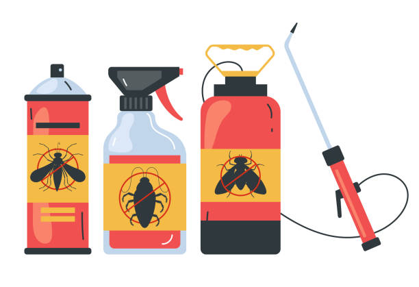 Best Spider Control Near Me  in Woodbine, NJ