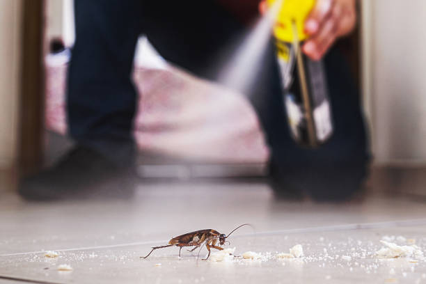 Best Local Pest Control Services  in Woodbine, NJ