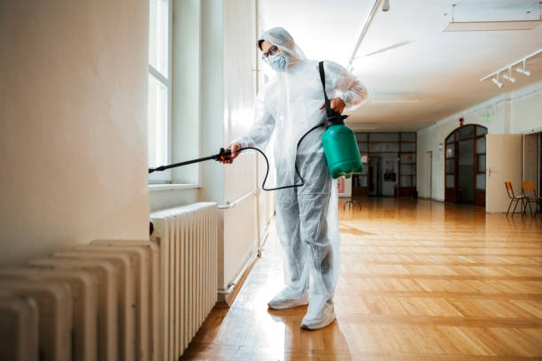 Best Affordable Pest Control Services  in Woodbine, NJ